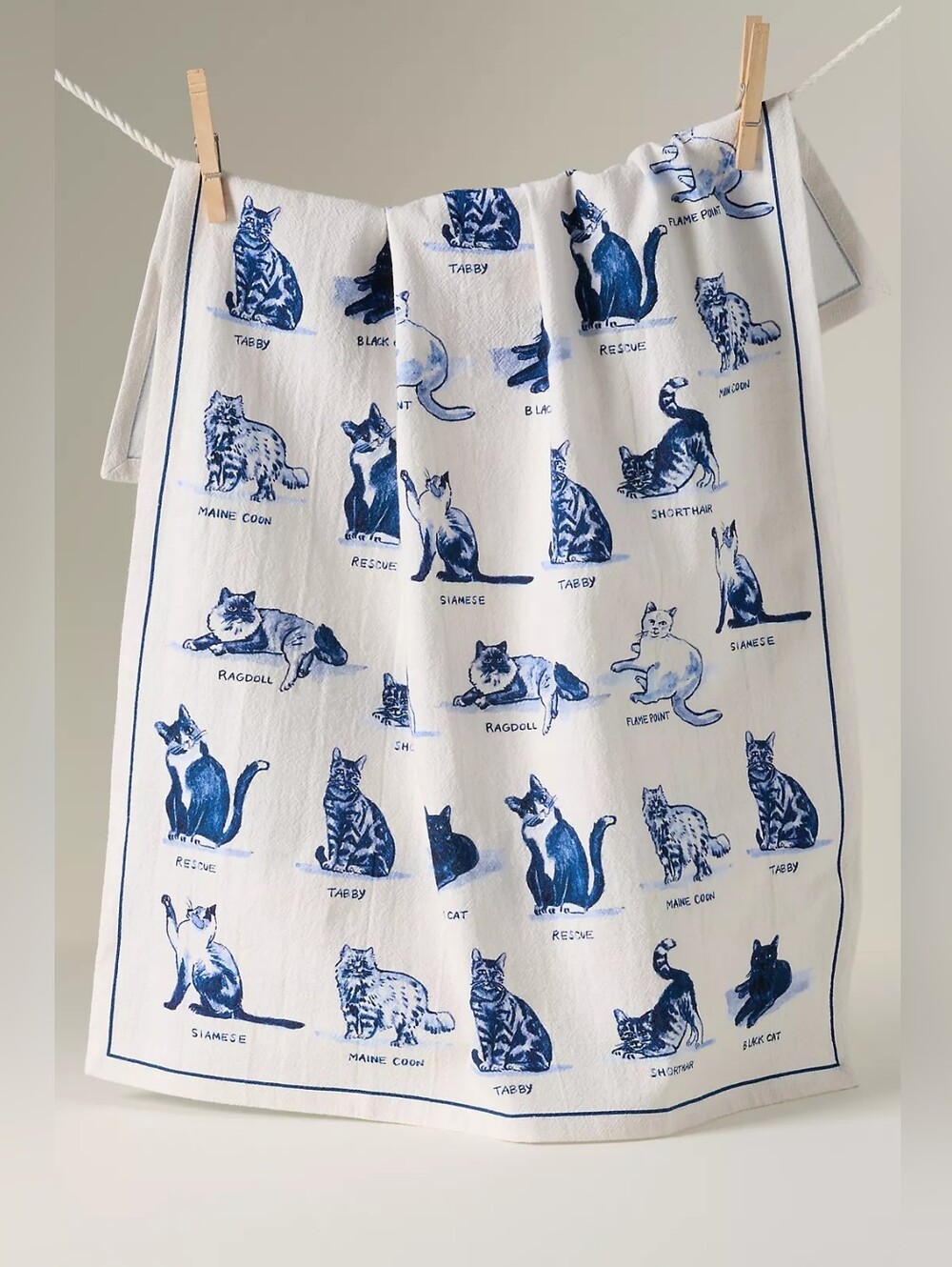Anthropologie Molly Hatch Dish Towel